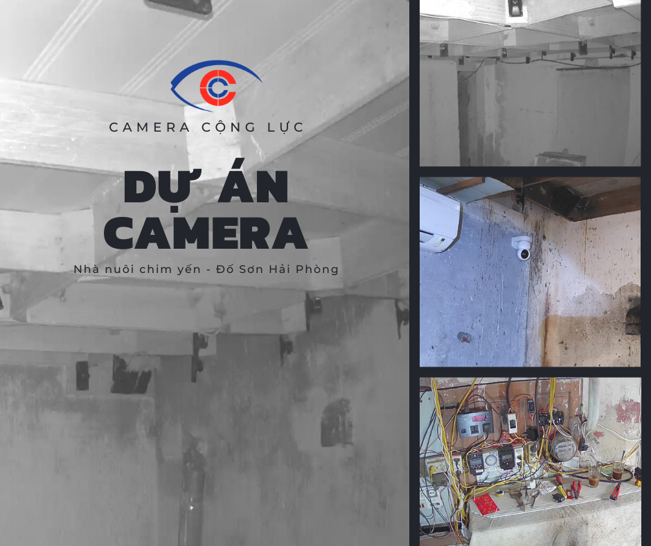 Lắp Đặt Camera Giám Sát Nhà Nuôi Chim Yến Ở Đồ Sơn Hải Phòng