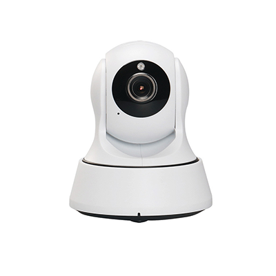 Camera Wifi BlueCam BL100P-S (NO LAN PORT) 1 Megapixel