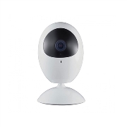 Camera IP Hdparagon HDS-2421IRPW 2 Megapixel