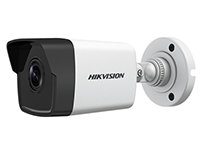 camera hikvision DS-2CD1021-I