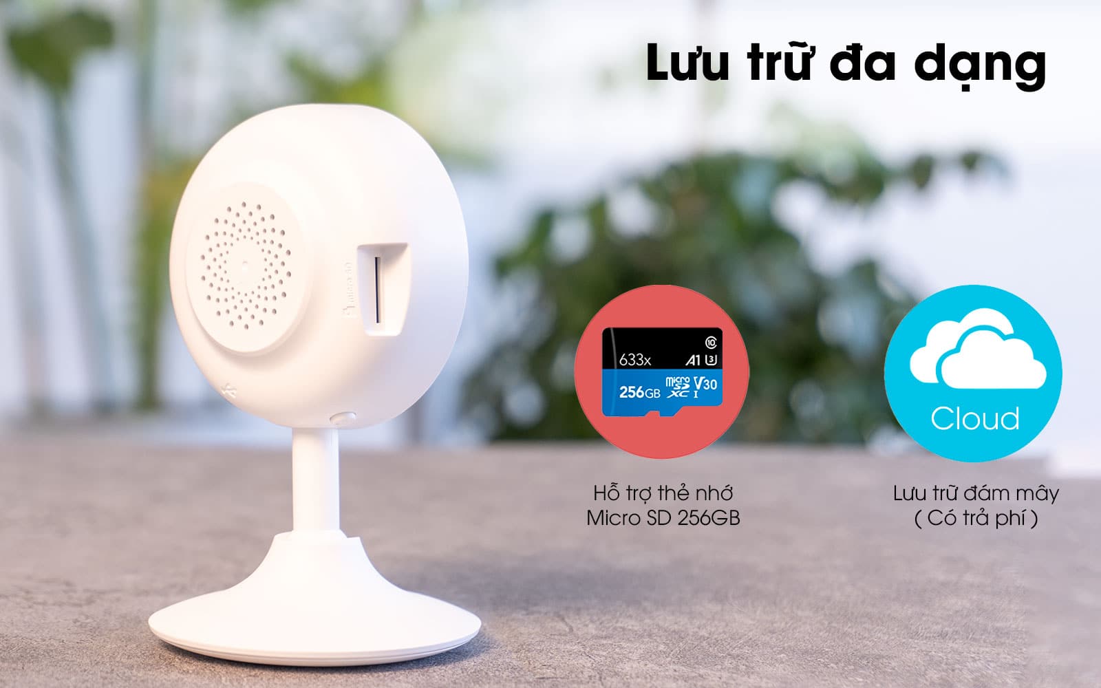 Bán camera wifi ezviz c1c-b giá rẻ hải phòng