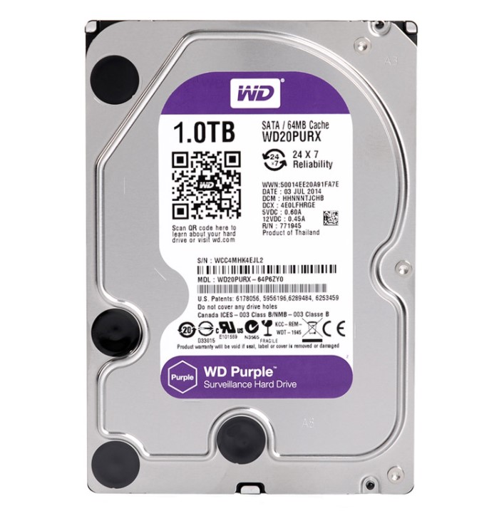 lắp ổ cứng western 1000gb cho văn phòng vnft group tại Hải Phòng