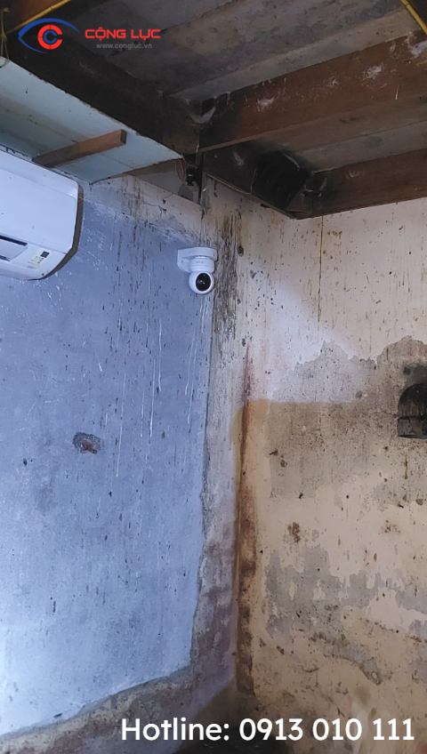 lắp camera giám sát nhà nuôi chim yến đồ sơn hải phòng 1
