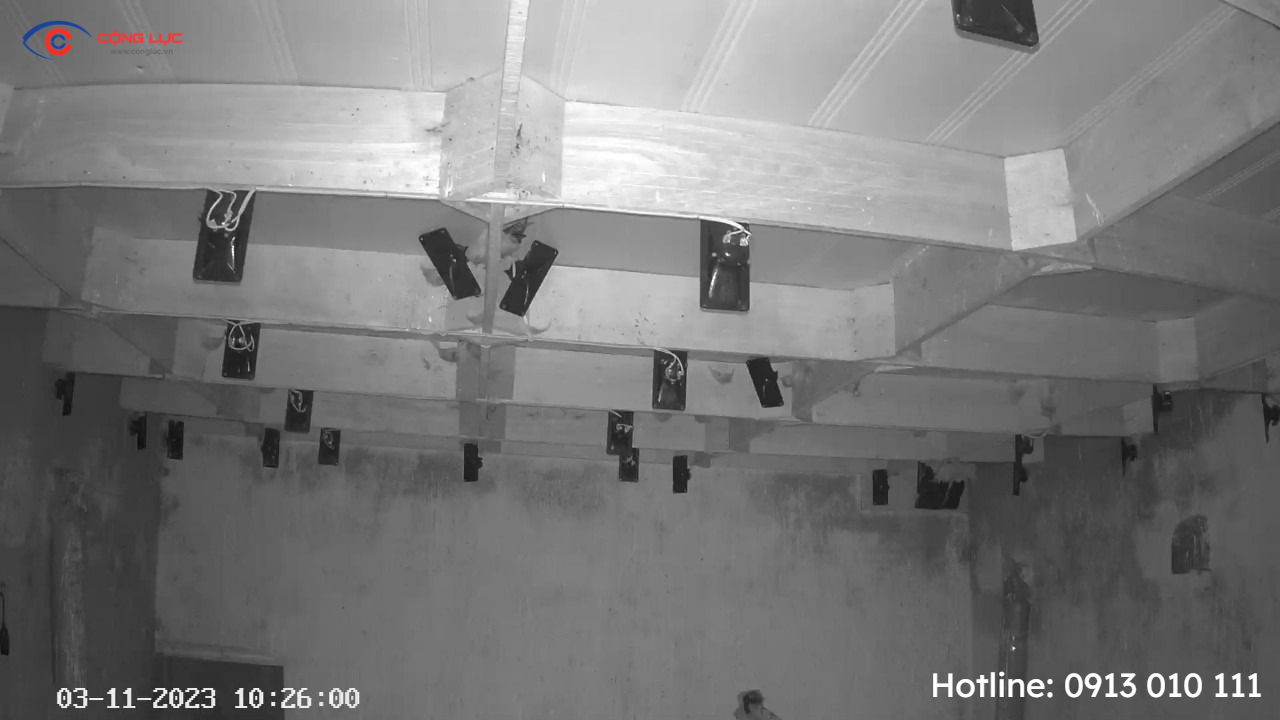 lắp camera giám sát nhà nuôi chim yến đồ sơn hải phòng 2