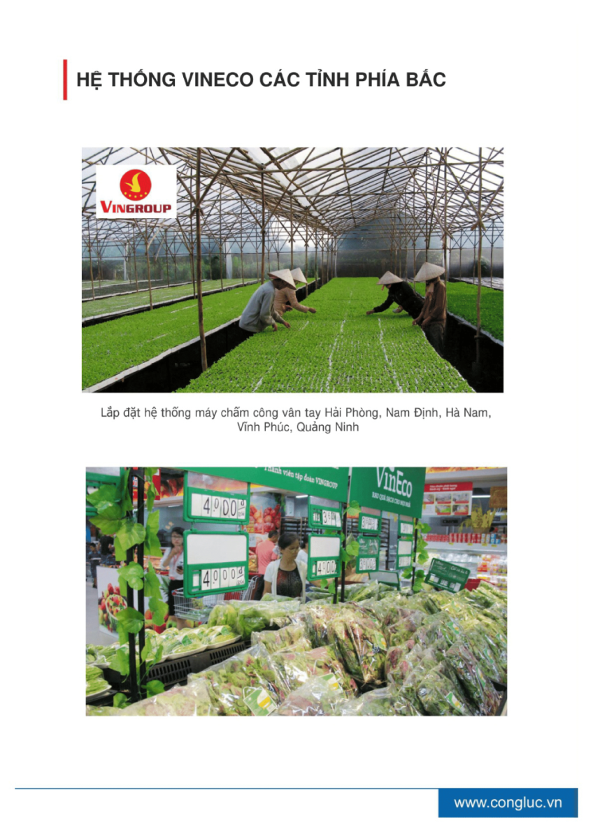 hồ sơ năng lực camera cộng lực hải phòng 36